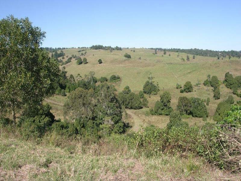 Richmond Hill NSW 2480