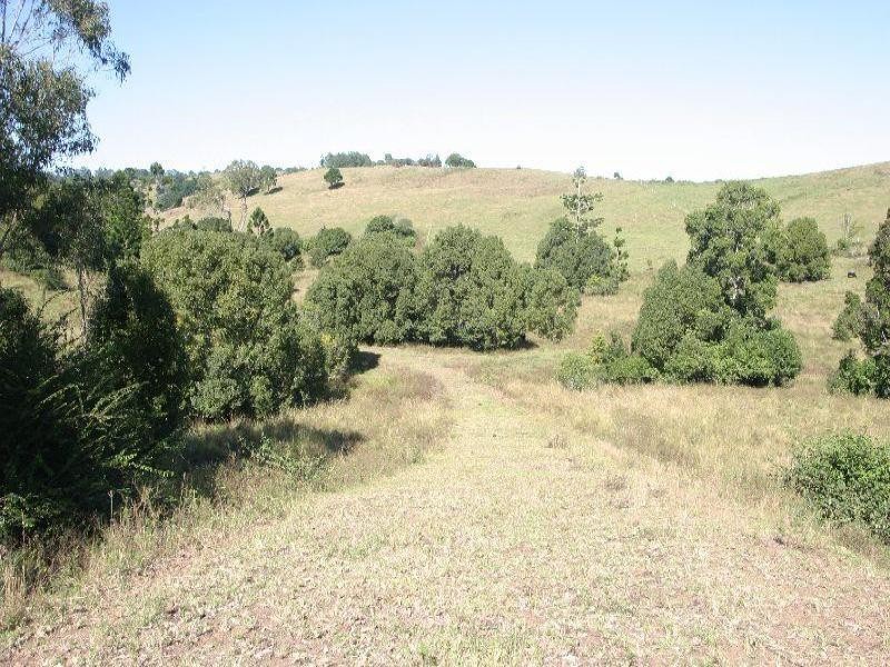 Richmond Hill NSW 2480