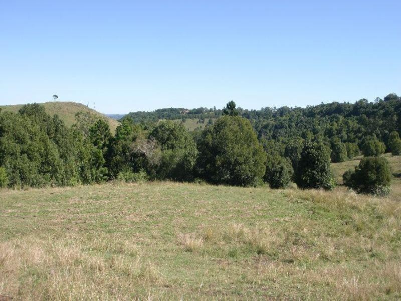 Richmond Hill NSW 2480