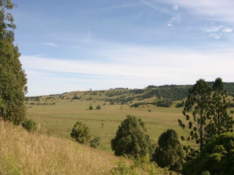 54 Gibson Road, Caniaba NSW 2480