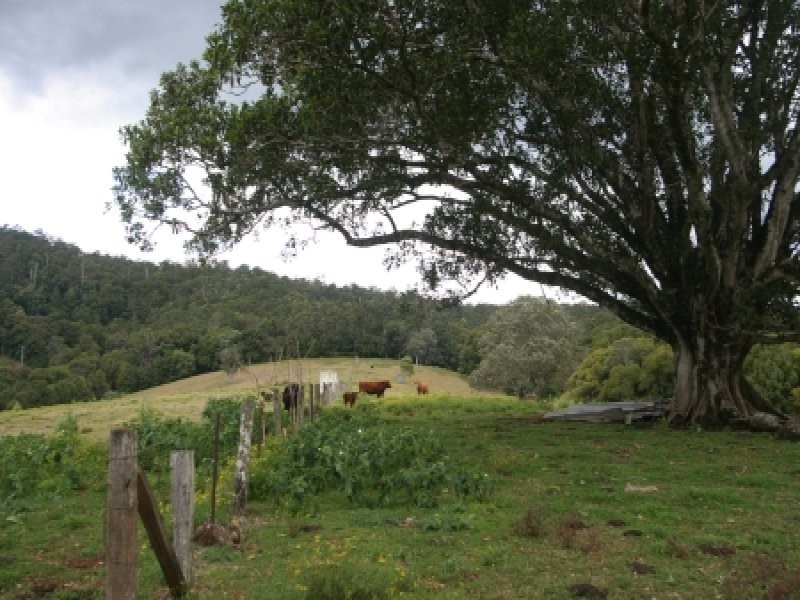 Whian Whian NSW 2480