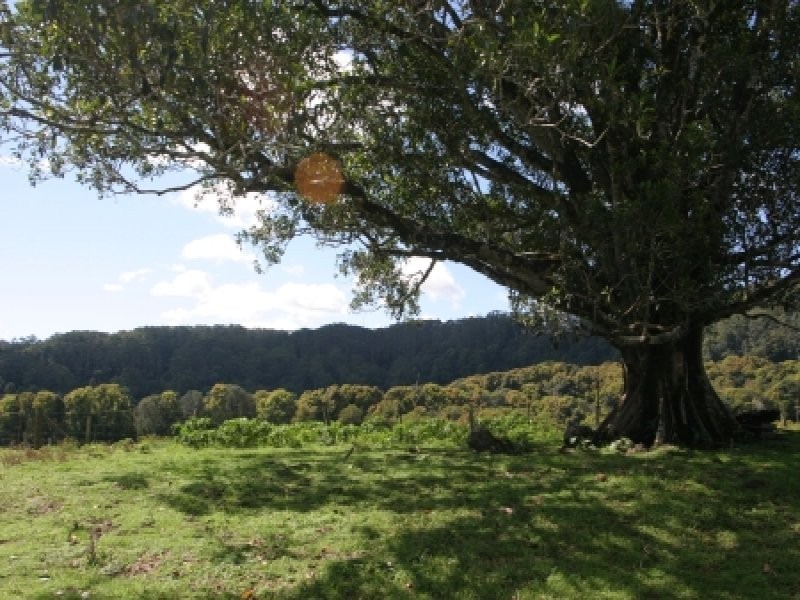 Whian Whian NSW 2480