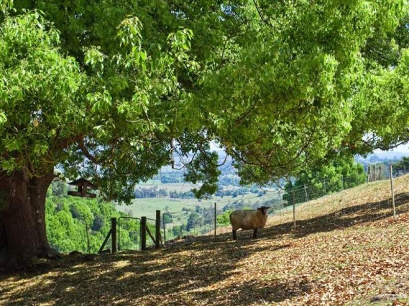 27 Barrys Road, Modanville NSW 2480