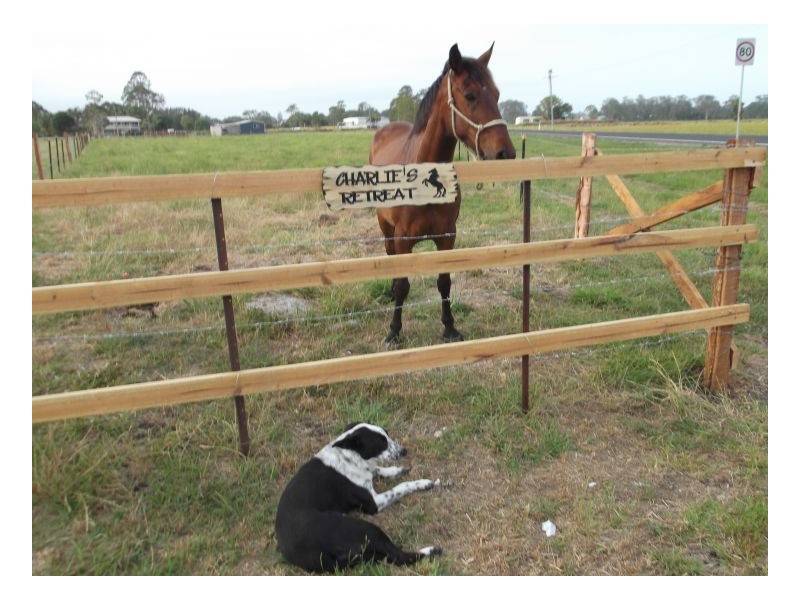 Coraki NSW 2471