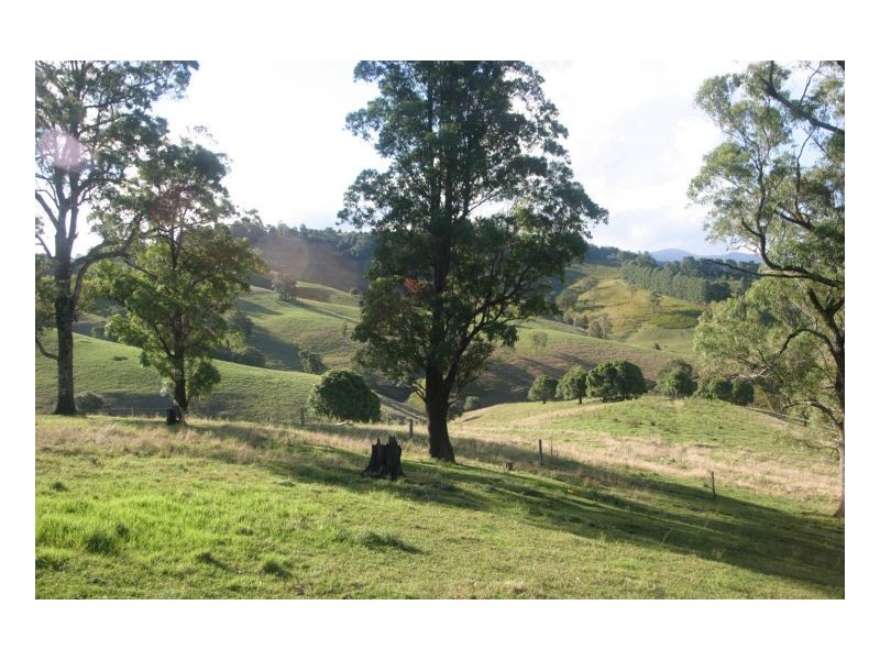 The Channon NSW 2480