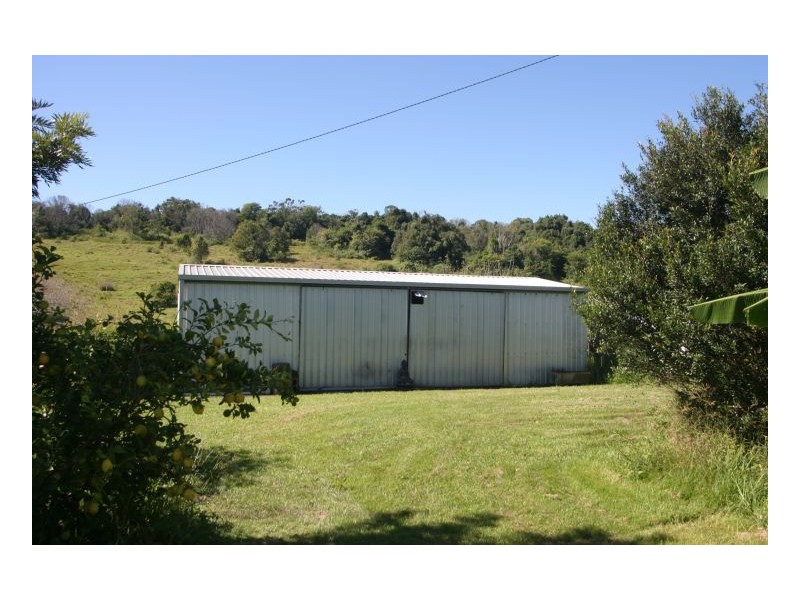 Howards Grass NSW 2480