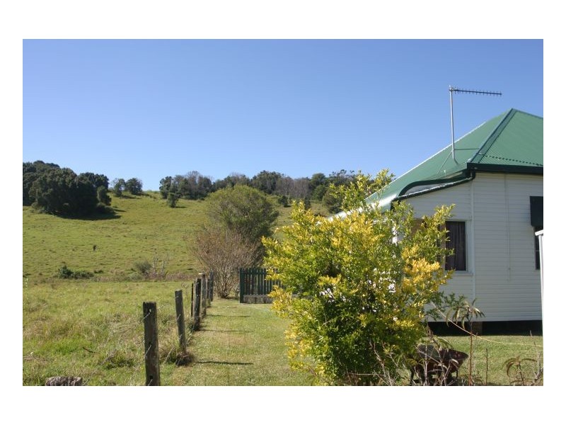 Howards Grass NSW 2480