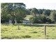 Howards Grass NSW 2480