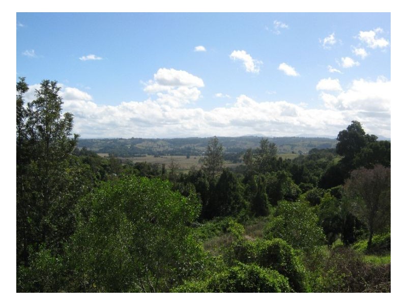 36 Trinity Drive, Lismore Heights NSW 2480