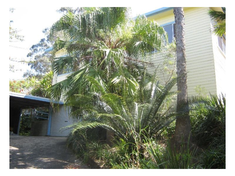 10 Noel Street, Lismore NSW 2480