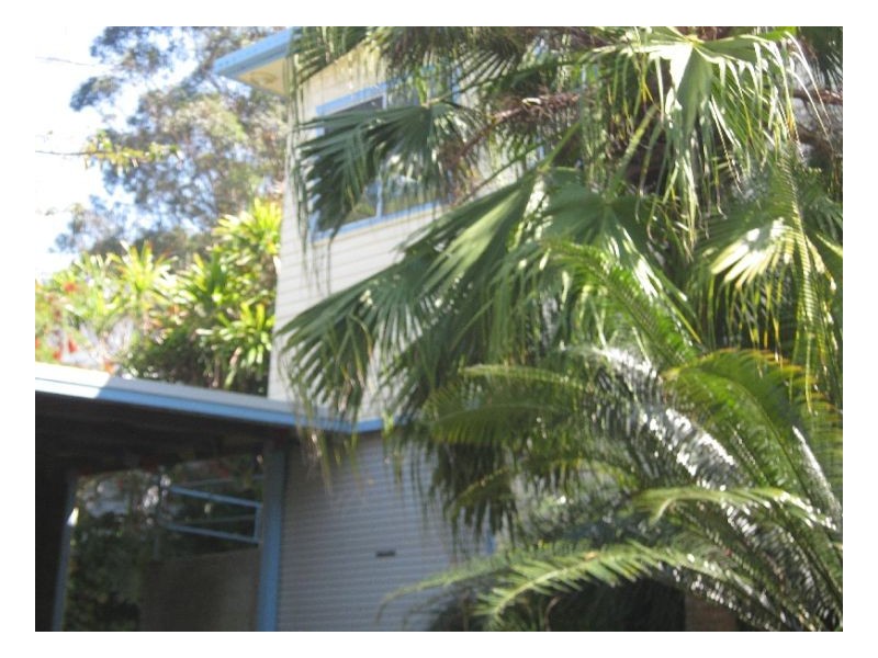 10 Noel Street, Lismore NSW 2480