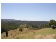 Tuntable Creek NSW 2480
