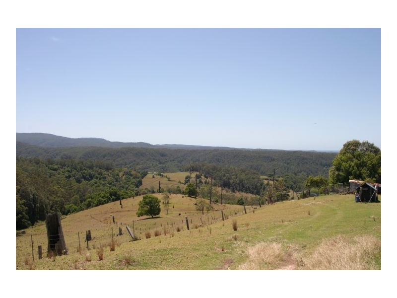 Tuntable Creek NSW 2480
