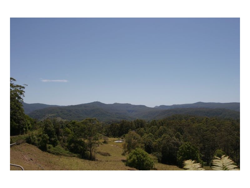 Tuntable Creek NSW 2480