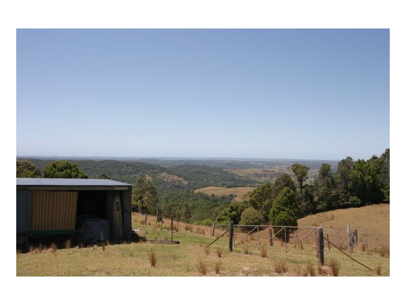 Tuntable Creek NSW 2480