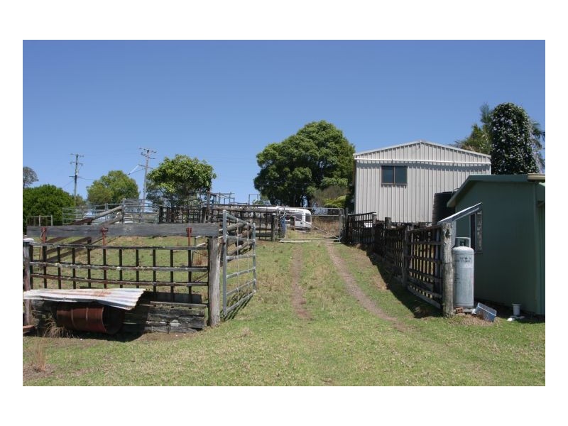 Tuntable Creek NSW 2480