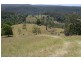 Tuntable Creek NSW 2480