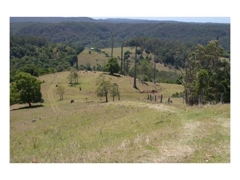 Tuntable Creek NSW 2480