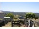 Tuntable Creek NSW 2480