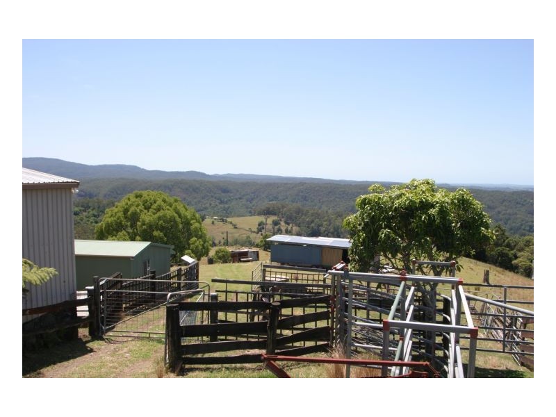 Tuntable Creek NSW 2480