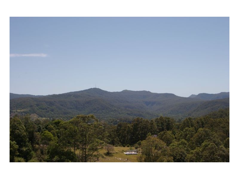 Tuntable Creek NSW 2480