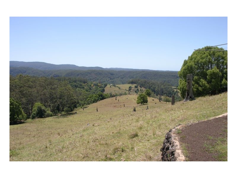Tuntable Creek NSW 2480