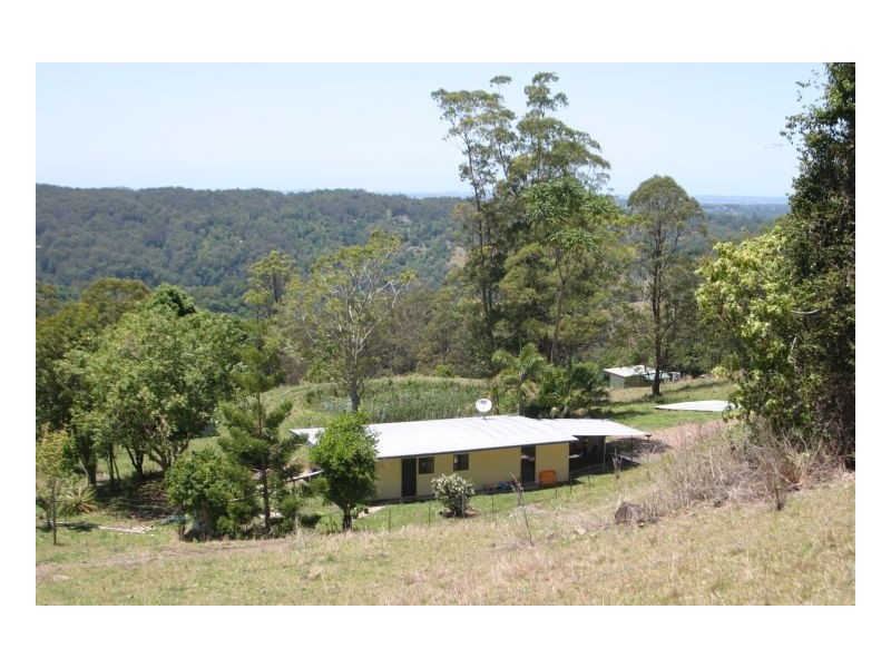 Tuntable Creek NSW 2480