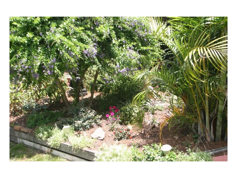 Ellangowan NSW 2470