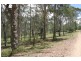 Ellangowan NSW 2470