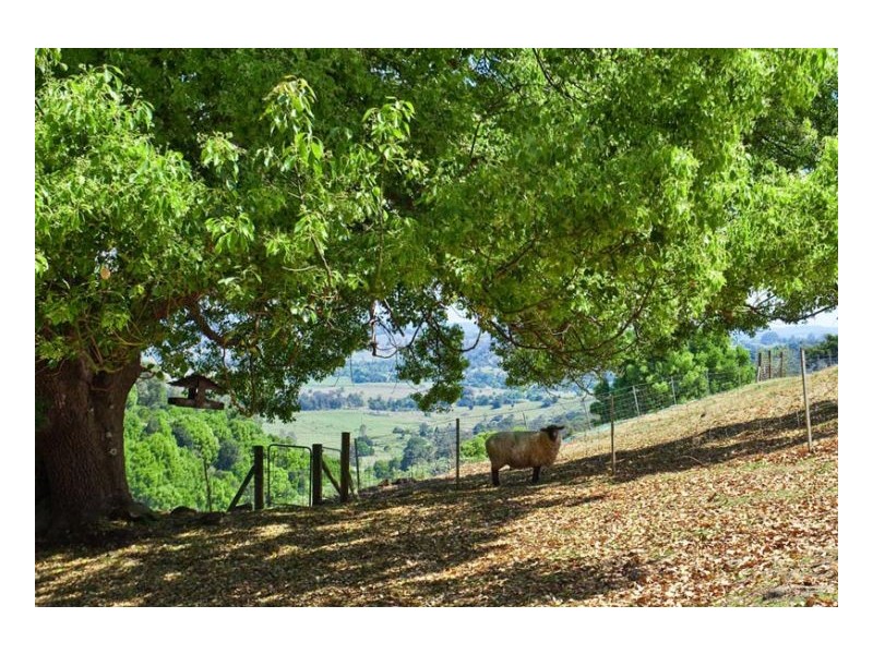 27 Barrys Road, Modanville Near, Lismore NSW 2480