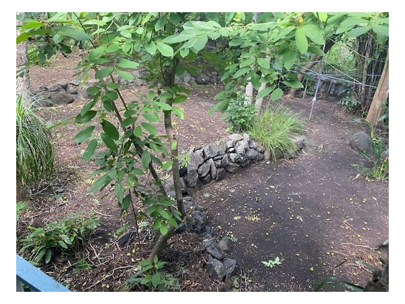 29 John Street, Lismore NSW 2480