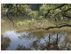 Bungawalbin NSW 2469