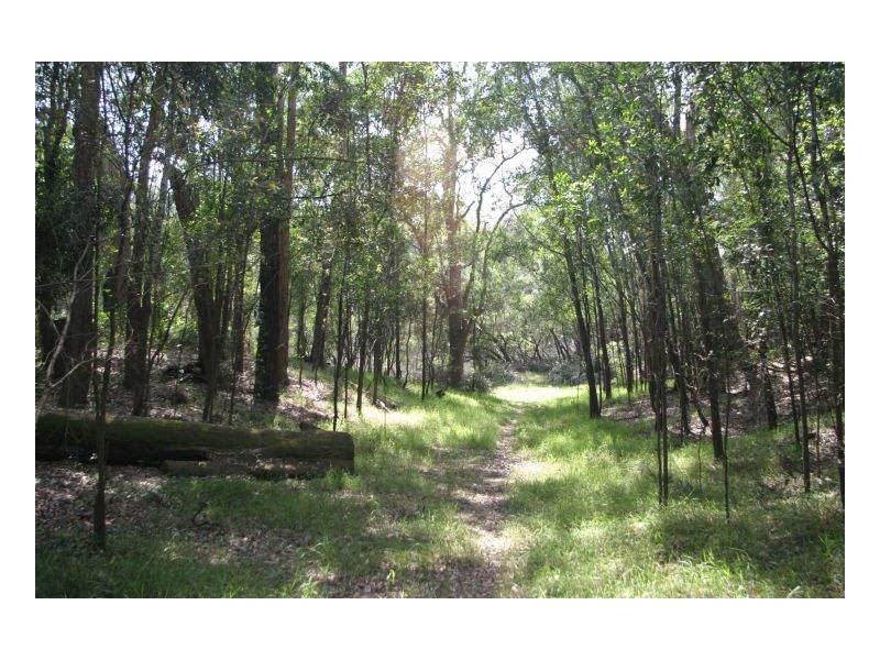 Bungawalbin NSW 2469
