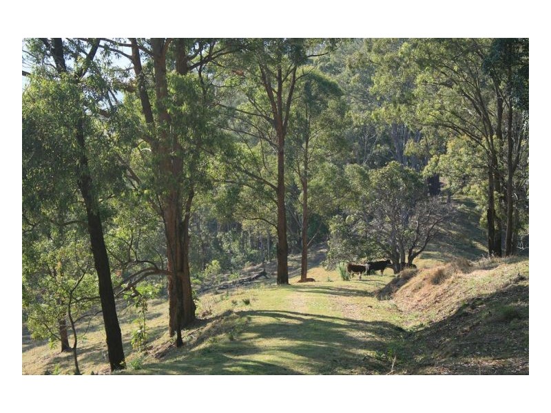 326 Bice Road, Lismore NSW 2480