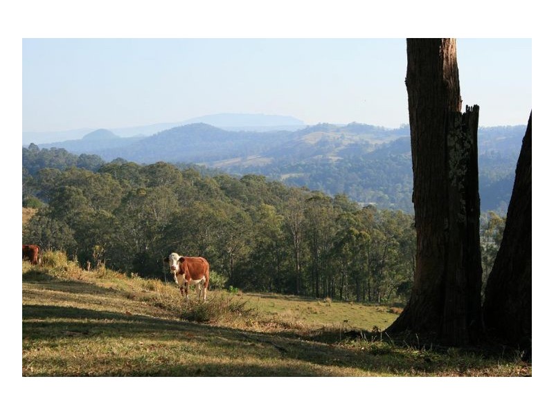 326 Bice Road, Lismore NSW 2480