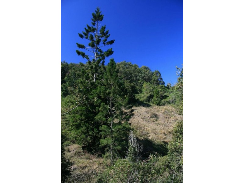 326 Bice Road, Lismore NSW 2480