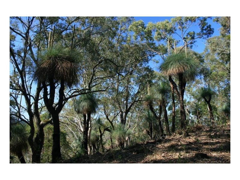 326 Bice Road, Lismore NSW 2480