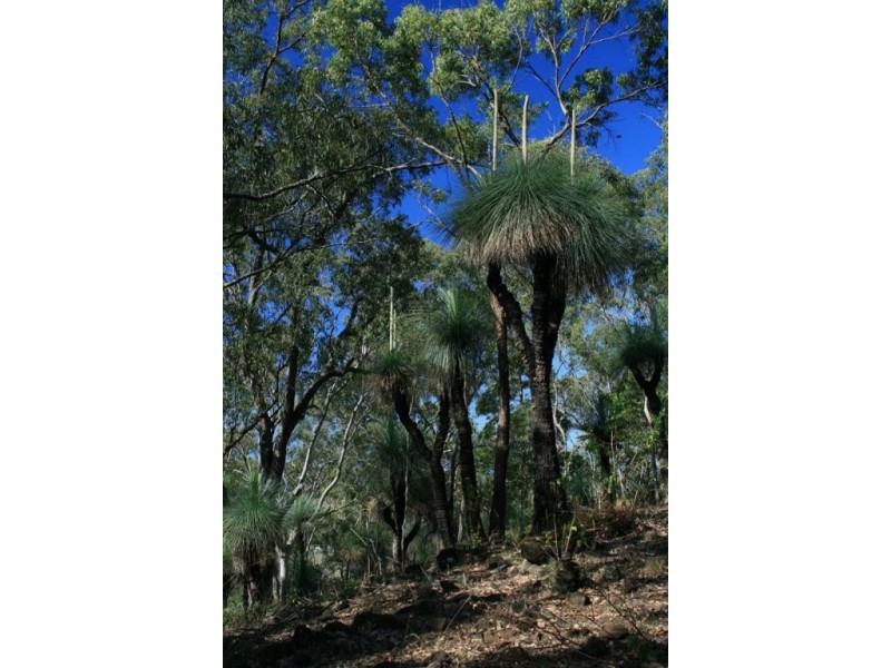 326 Bice Road, Lismore NSW 2480