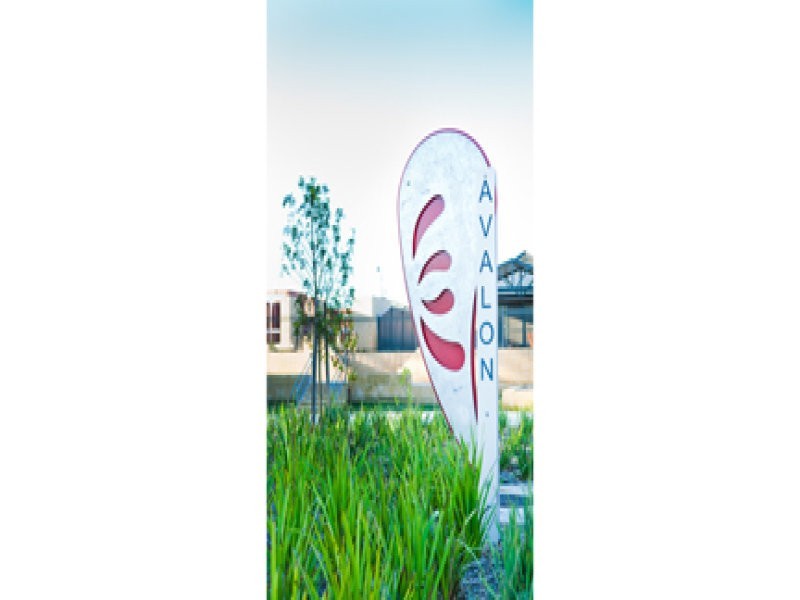 78 Borough Way, Baldivis WA 6171