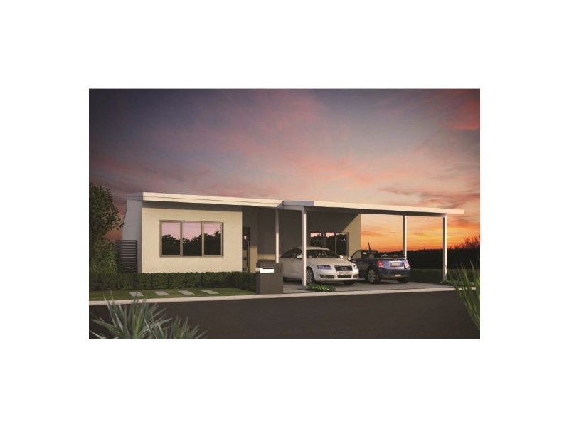 00 Spinifex, Newman WA 6753