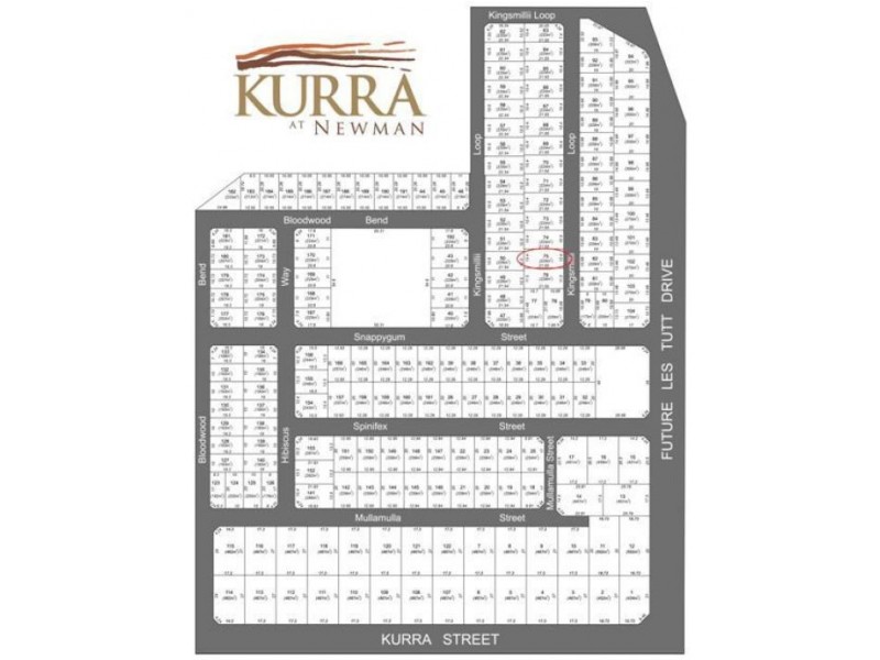 5 Kingsmilli Loop, Kurra Estate, Newman WA 6753