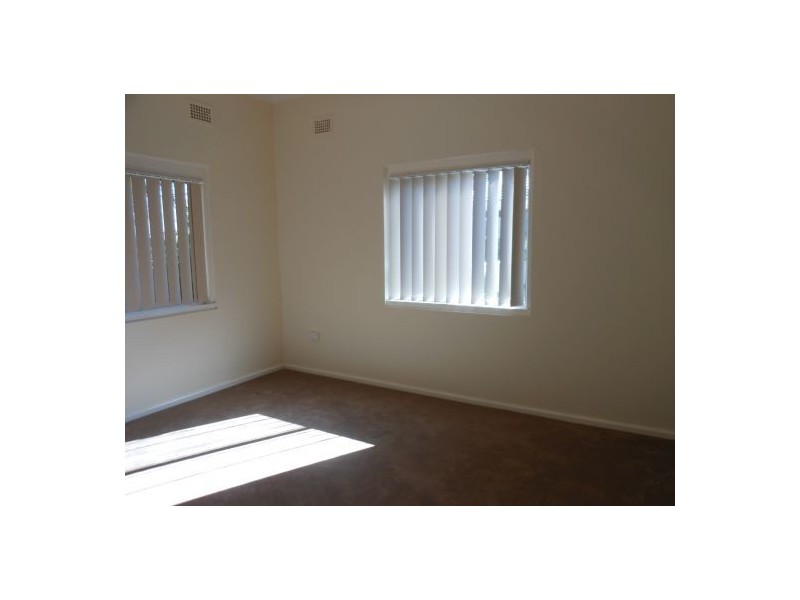 20 Anderson Ave, Mount Pritchard NSW 2170