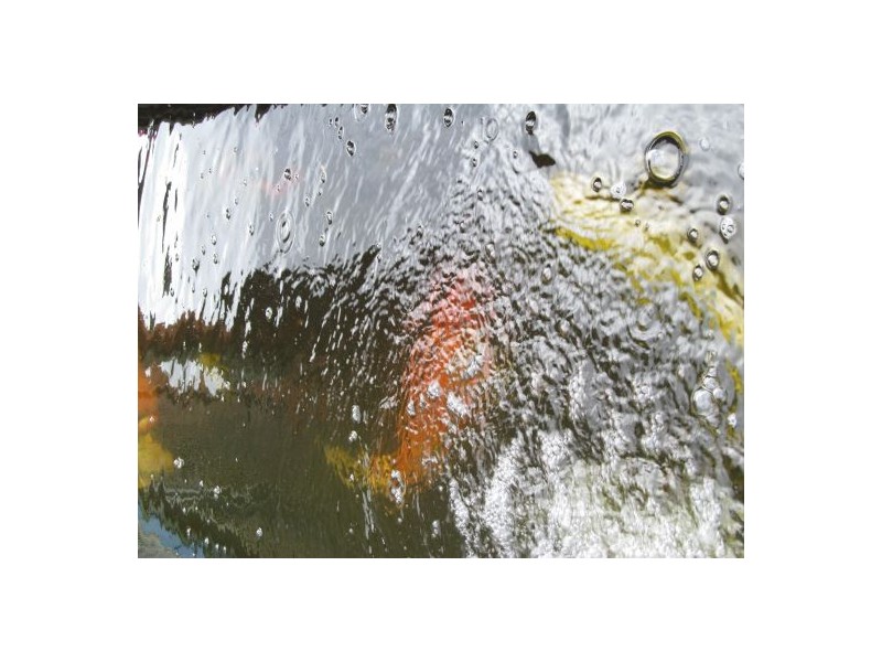 892 The Horsley Drive, Smithfield NSW 2164