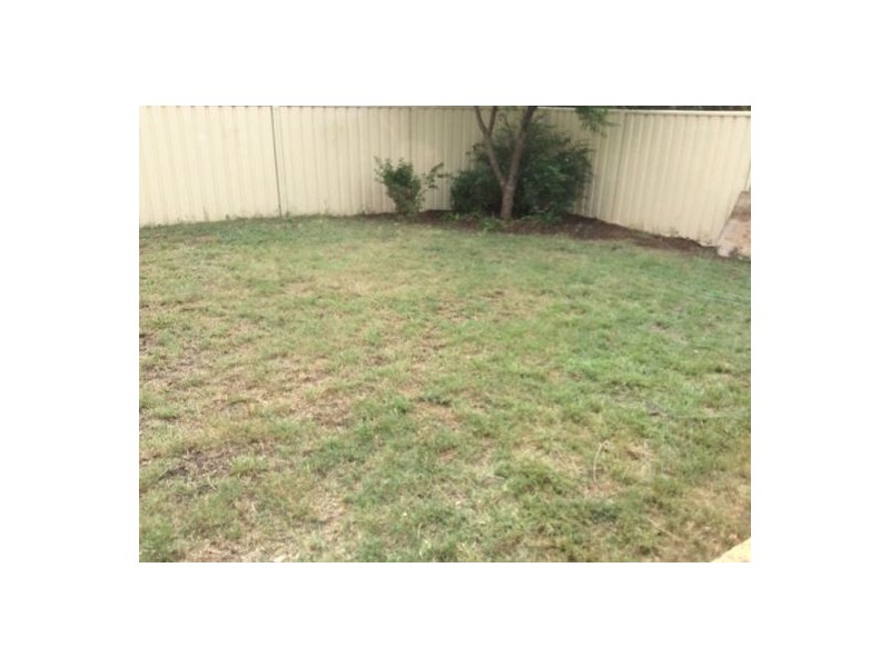 53 Neilson Crescent, Bligh Park NSW 2756