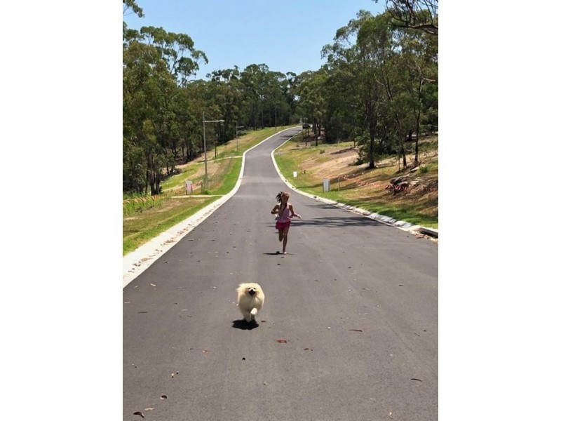 3 Shelley Lane, Glenorie NSW 2157