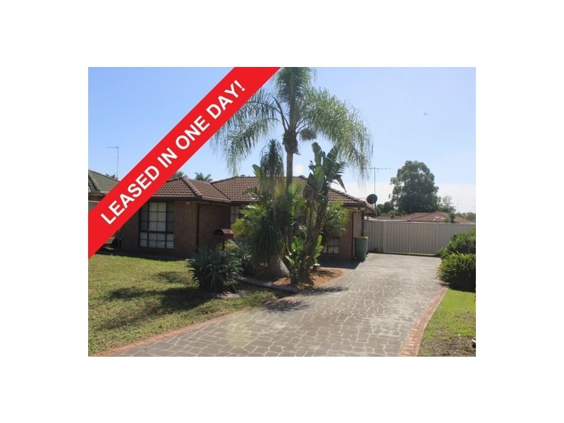 100 Neilson Crescent, Bligh Park NSW 2756