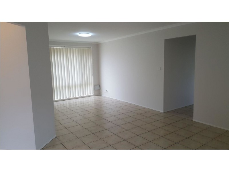 3 Paine Place, Bligh Park NSW 2756