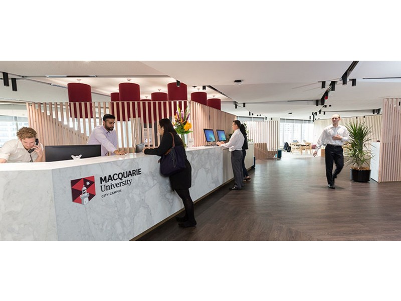 806/9 Mooltan Avenue, Macquarie Park NSW 2113