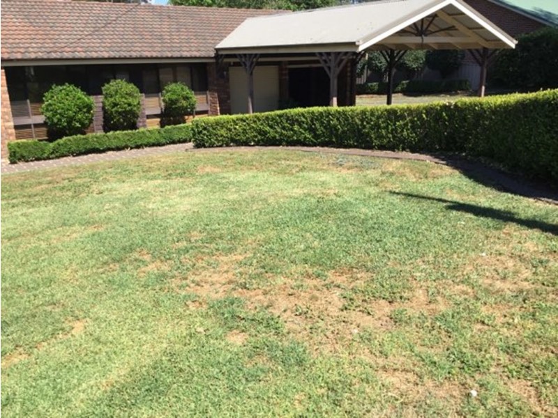 15 Bruce Road, Vineyard NSW 2765