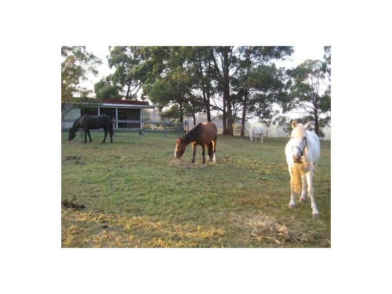 55 Terry Road, Box Hill NSW 2765